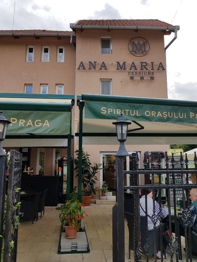 Pensiunea Ana Maria Băile Felix Extérieur photo