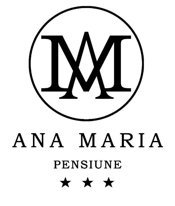 Pensiunea Ana Maria Băile Felix Extérieur photo